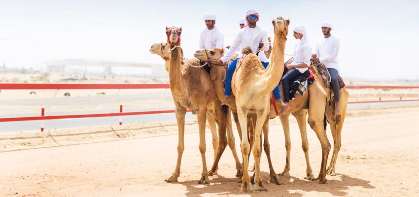 Al Tallah Camel Racecourse