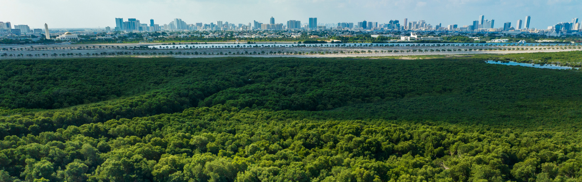 A laidback coastal city with year-round sunshine and friendly locals.