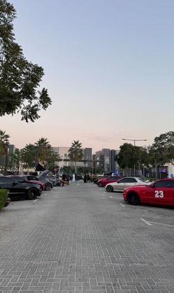 Ajman Chef