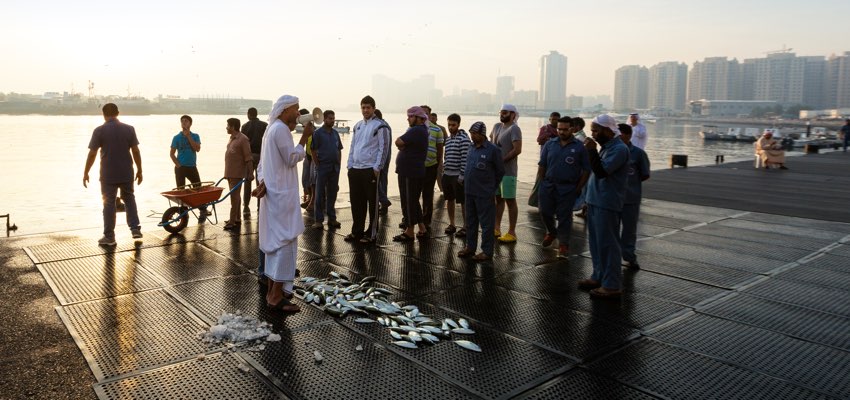 Fish Market