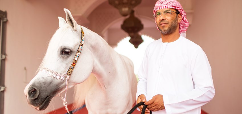 Ajman Stud