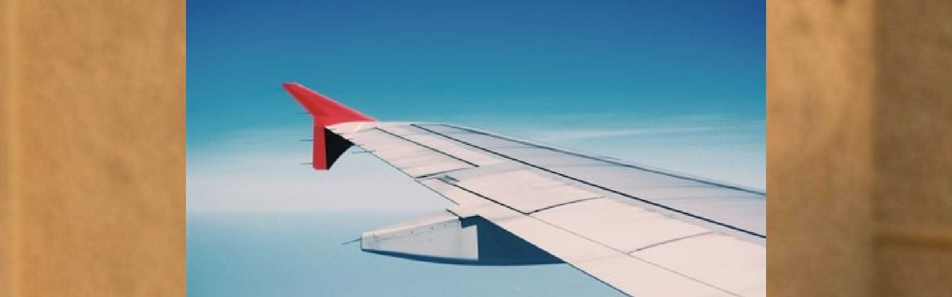 Travel & Tourism Agencies
